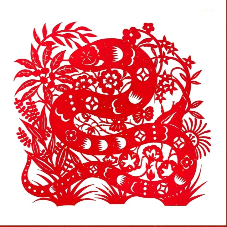 成人直播